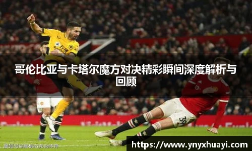 jrs看球网